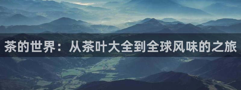 金帆年会2019