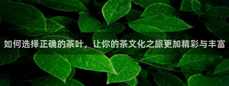 年会金句心得