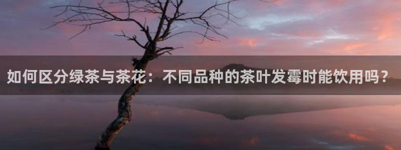 金年会手机官网