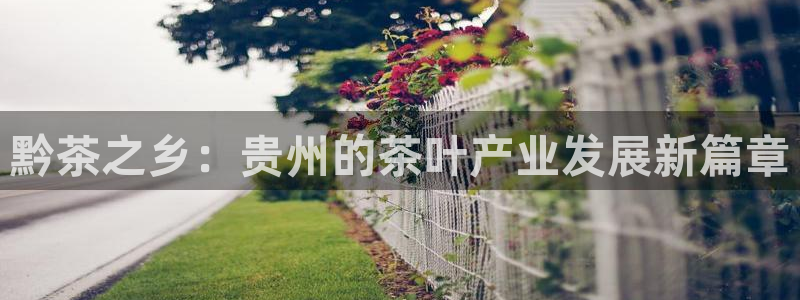 金进年会
