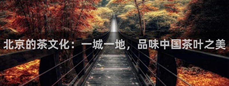 金年会和万博