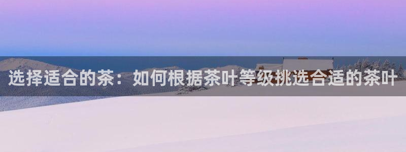 今金年会