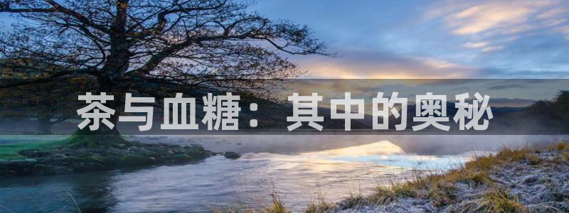 类似金年会