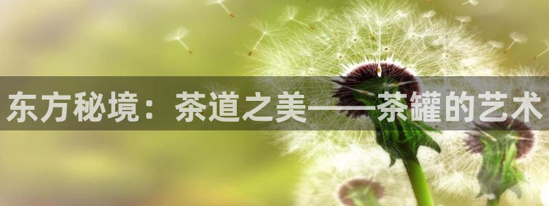 金哥年会