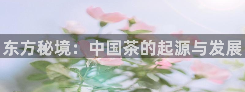 金年会投注官网