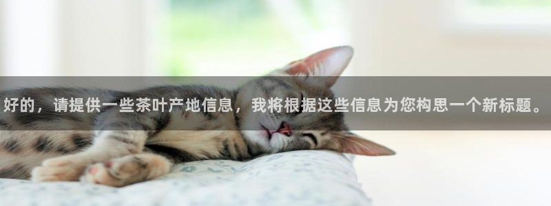 世界杯金年会app下载