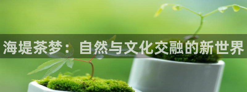金年会黑平台