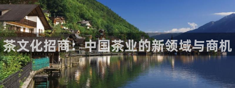金年会体育官方网站入口