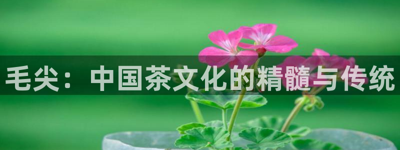 金年会体育平台在线登录