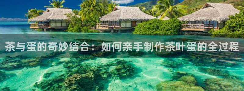 宝金年会