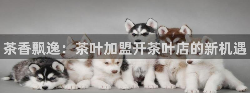 6766金年会