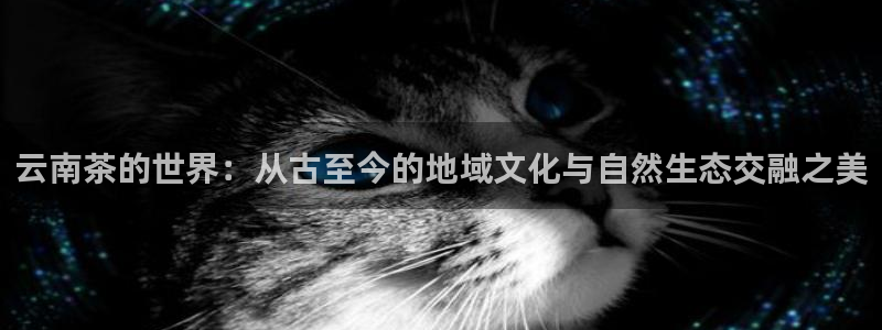 金年会金字招牌在线入口