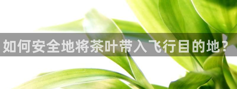 澳门娱乐金年会