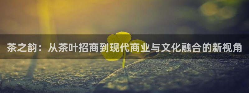 金年会app