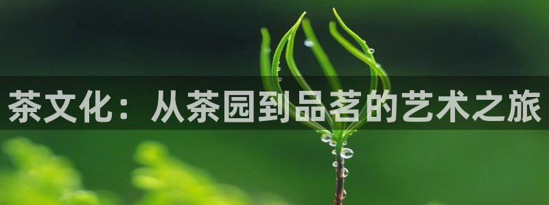 金齿科年会