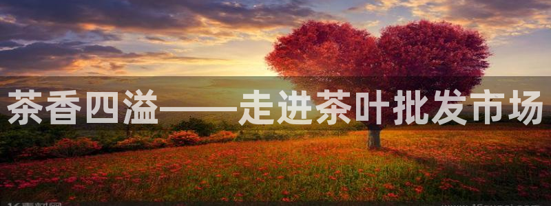 金年会娱乐提现