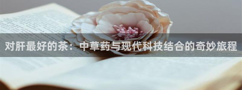 金年会娱乐app