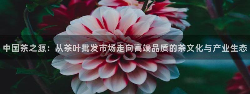 金年会金字招牌诚信