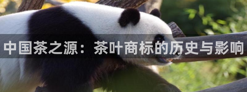 金年会赞助西甲