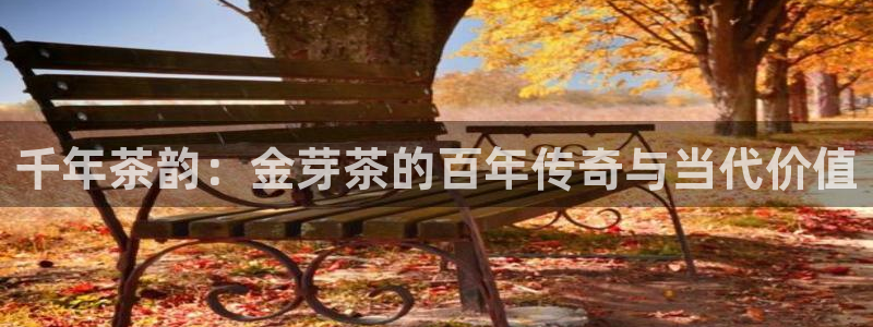金年会娱乐下载app