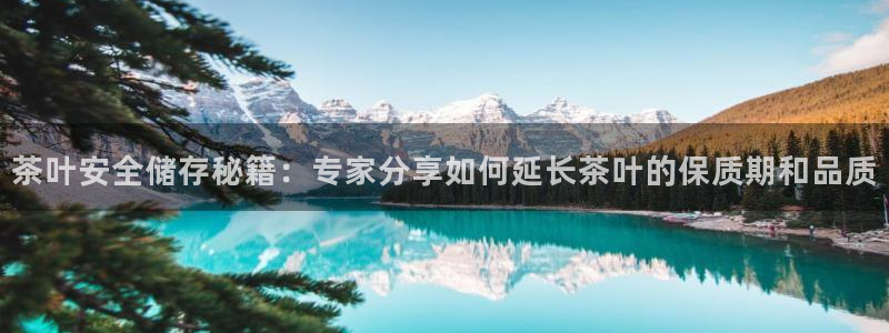 金帆年会2019