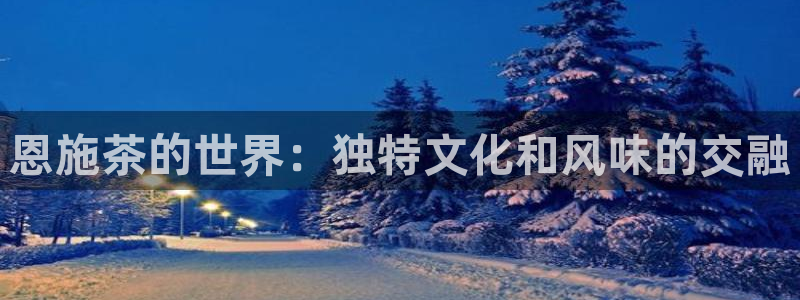 今年会送彩金28