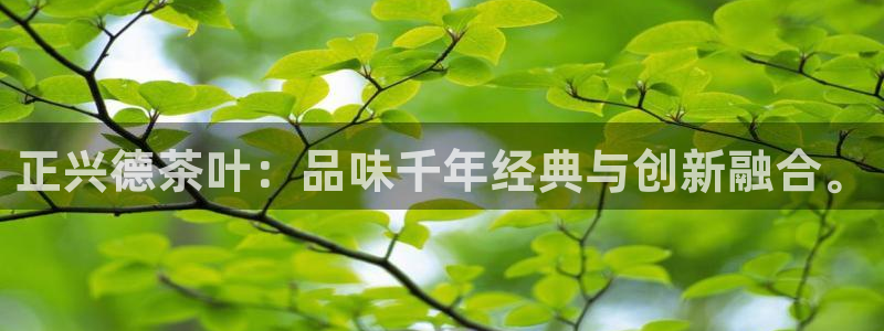 金年会官方网