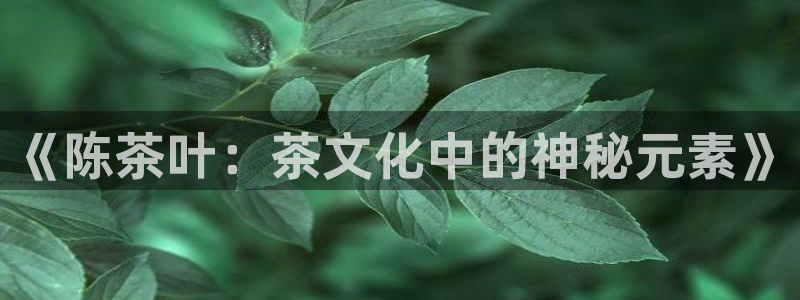 金年会提款
