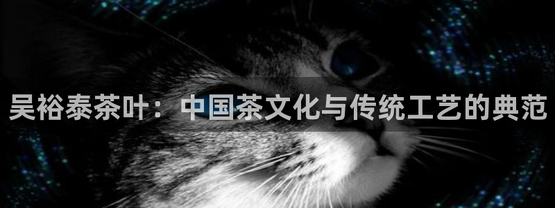 金年会体育在线入口