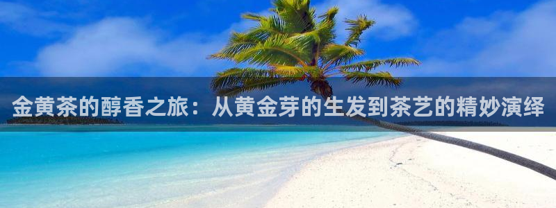 金年会在线