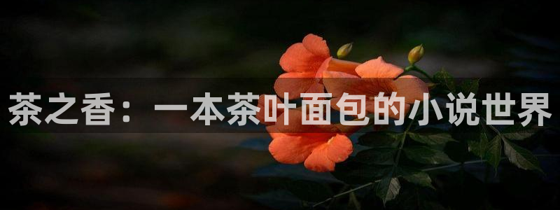 金年会体育app