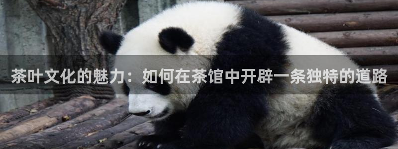 金年会官网登入