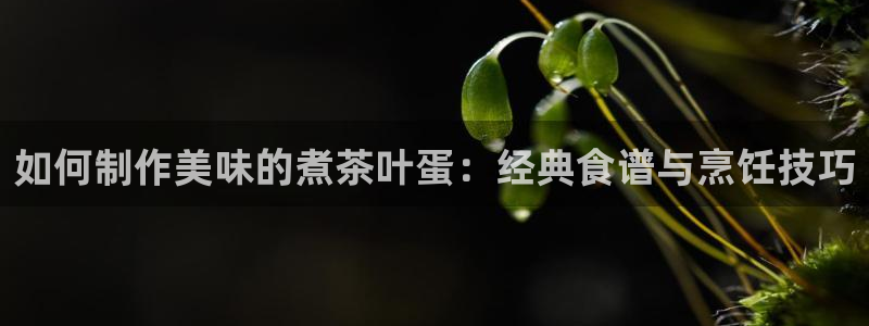金年会投注官网