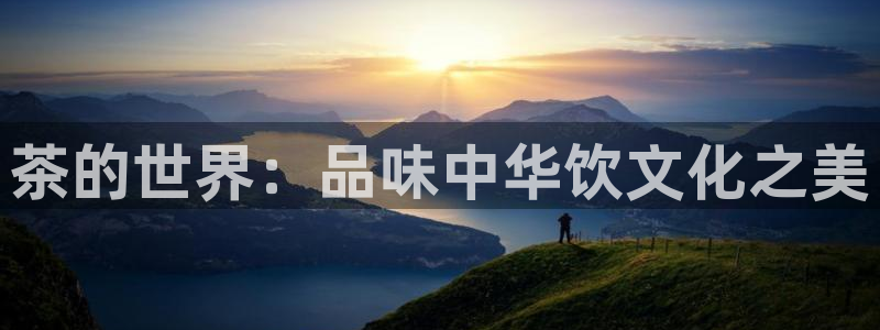 2022金年会