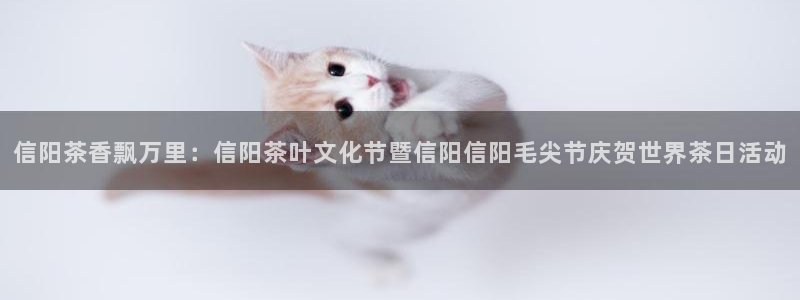 金年会入口