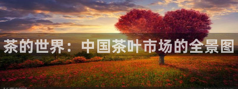 金年会国际
