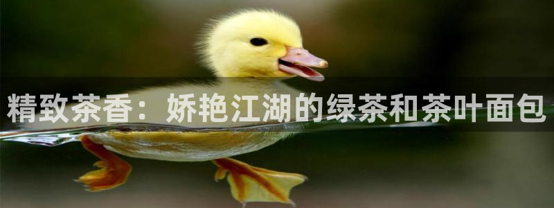金年会平台登陆