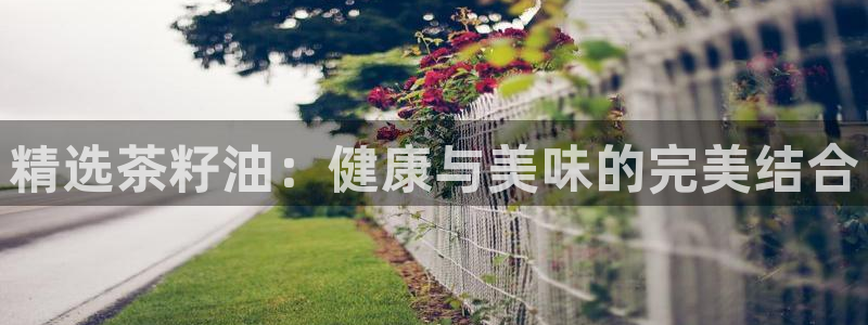 金年会赌博