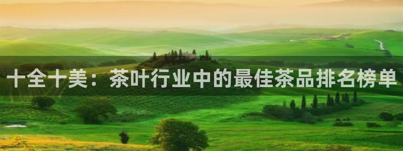 金年会品牌