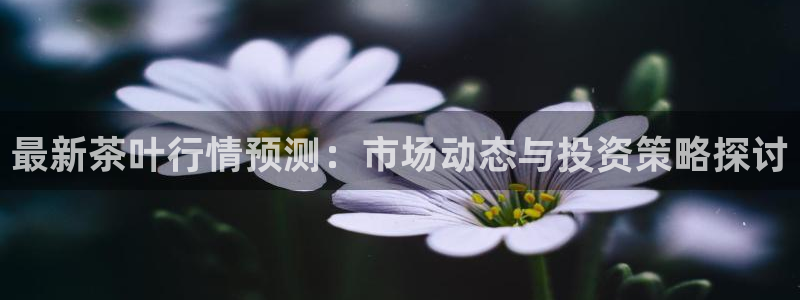 金年会全站app