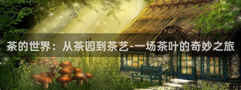 金年会com