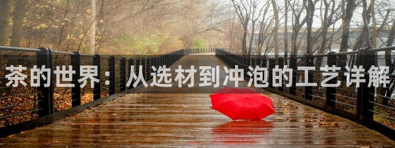 金年会代理