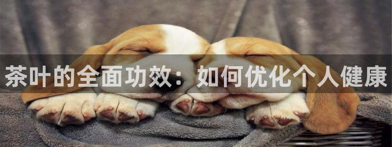 金年会网页登录