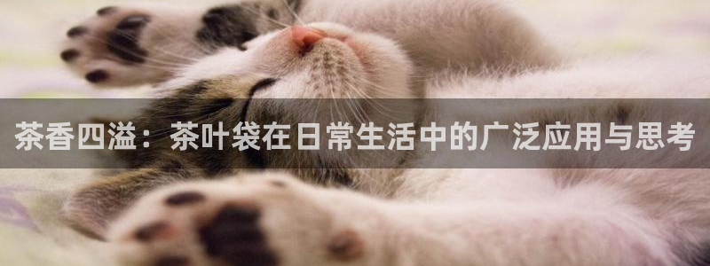 金年会金年华
