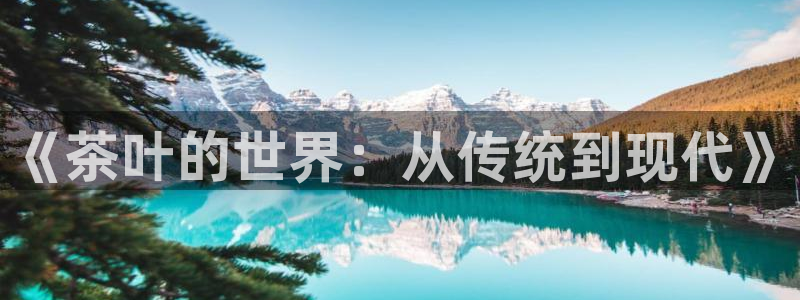 金年会网页