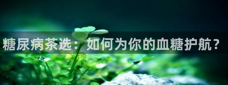 2022金年会