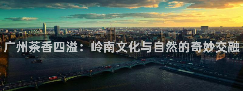 金年会足彩