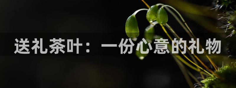金年会登陆