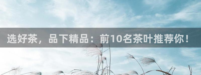 金年会娱乐官网