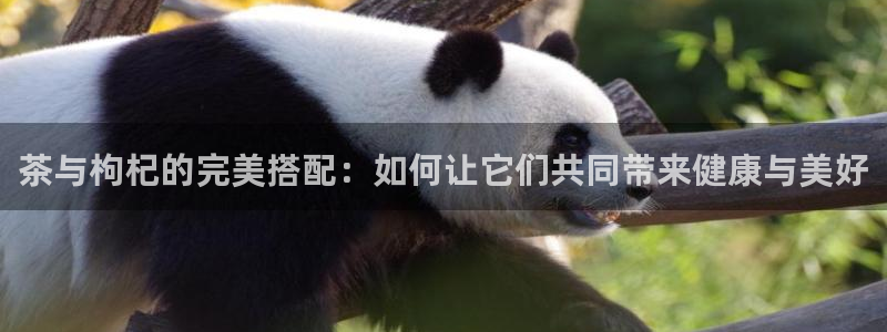 金年会金字招牌下载